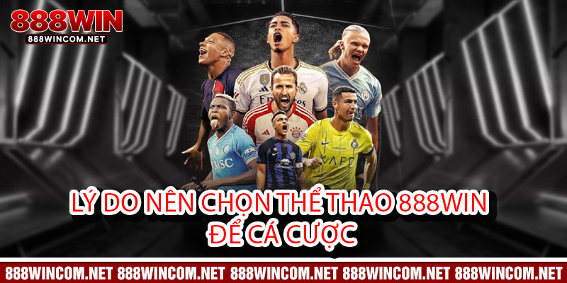 Lý Do Nên Chọn Thể Thao 888Win để Cá Cược